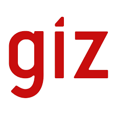 GIZ Partners TDI Global Limited for Job Creation