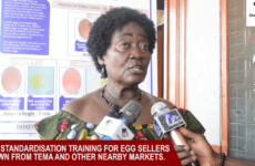 Egg Standardization Training for Egg Sellers in Tema and surrounding Communities