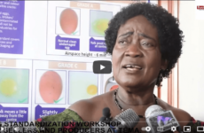 Egg Standadization Workshop for Sellers and Producers at Tema